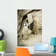 Meerkats Standing Upright Calgary Wall Decal