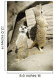 Meerkats Standing Upright Calgary Wall Decal