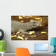 Miniature Crocodile Calgary Zoo Wall Decal