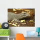 Miniature Crocodile Calgary Zoo Wall Decal