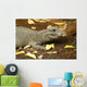 Miniature Crocodile Calgary Zoo Wall Decal
