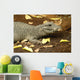 Miniature Crocodile Calgary Zoo Wall Decal