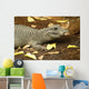 Miniature Crocodile Calgary Zoo Wall Decal