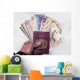 Money from Various Countries Wall Decal