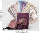 Money from Various Countries Wall Decal