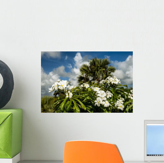 Frangipani Wall Decal