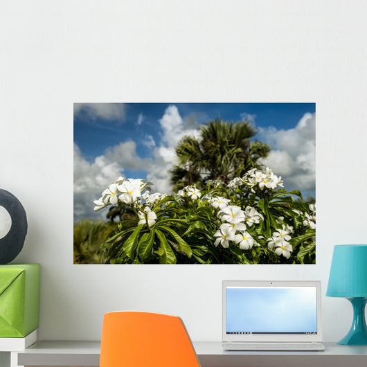 Frangipani Wall Decal
