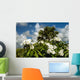 Frangipani Wall Decal