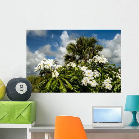 Frangipani Wall Decal