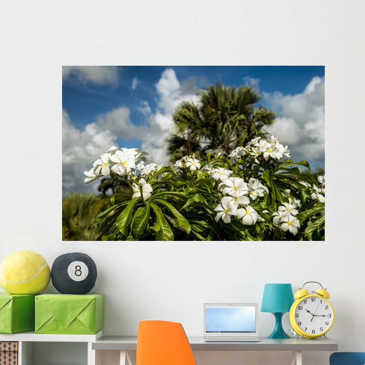 Frangipani Wall Decal