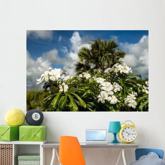 Frangipani Wall Decal