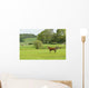 Horse Field Wall Decal