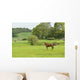 Horse Field Wall Decal
