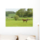 Horse Field Wall Decal