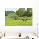 Horse Field Wall Decal