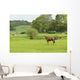 Horse Field Wall Decal