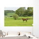 Horse Field Wall Decal