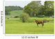 Horse Field Wall Decal