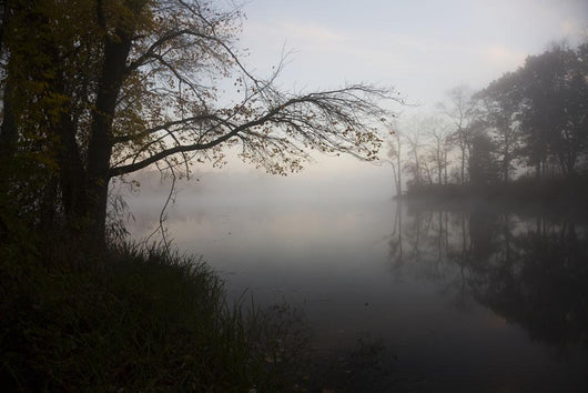 Dawn Pond Autumn Wall Decal
