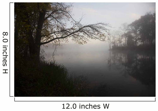 Dawn Pond Autumn Wall Decal