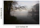 Dawn Pond Autumn Wall Decal