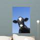 Holstein Dairy Cow Wall Decal