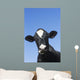 Holstein Dairy Cow Wall Decal