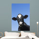 Holstein Dairy Cow Wall Decal