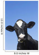 Holstein Dairy Cow Wall Decal