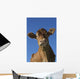 Guernsey Dairy Cow Wall Decal Design 2