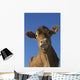 Guernsey Dairy Cow Wall Decal Design 2