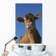 Guernsey Dairy Cow Wall Decal Design 2