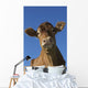 Guernsey Dairy Cow Wall Decal Design 2