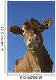 Guernsey Dairy Cow Wall Decal Design 2