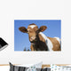 Guernsey Dairy Cow Wall Decal Design 1