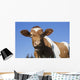 Guernsey Dairy Cow Wall Decal Design 1