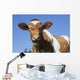 Guernsey Dairy Cow Wall Decal Design 1