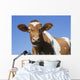 Guernsey Dairy Cow Wall Decal Design 1