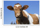 Guernsey Dairy Cow Wall Decal Design 1