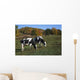 Holstein Dairy Cows Autumn Wall Decal Design 2