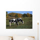 Holstein Dairy Cows Autumn Wall Decal Design 2