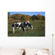 Holstein Dairy Cows Autumn Wall Decal Design 2