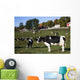Holstein Dairy Cows Autumn Wall Decal Design 1