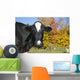 Holstein Dairy Cow Autumn Wall Decal