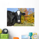 Holstein Dairy Cow Autumn Wall Decal