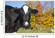 Holstein Dairy Cow Autumn Wall Decal