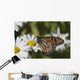 Monarch Butterfly Nectaring Montauk Wall Decal