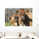 Jersey Cows Autumn Pasture Wall Decal Design 2
