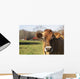 Jersey Cows Autumn Pasture Wall Decal Design 1