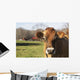 Jersey Cows Autumn Pasture Wall Decal Design 1